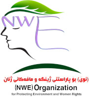 NWE Organization